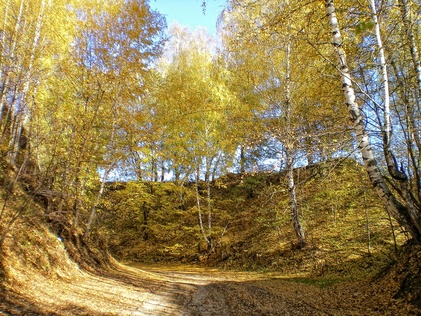 Фото жизнь - natashulpinova - Природа и пейзажи - Желтая осень