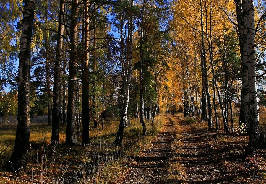 Фото жизнь