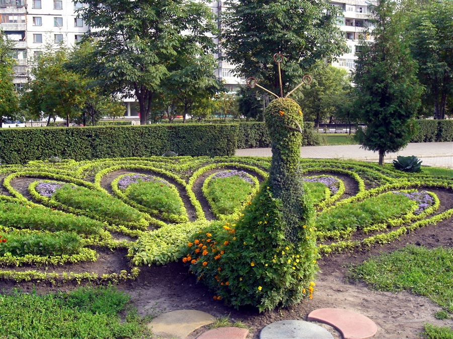 Фото жизнь