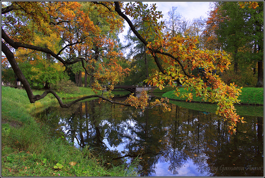 Фото жизнь (light) - klepa - пейзажи - Екатерининский парк