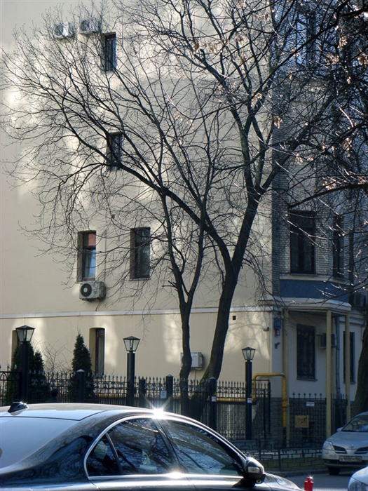 Фото жизнь