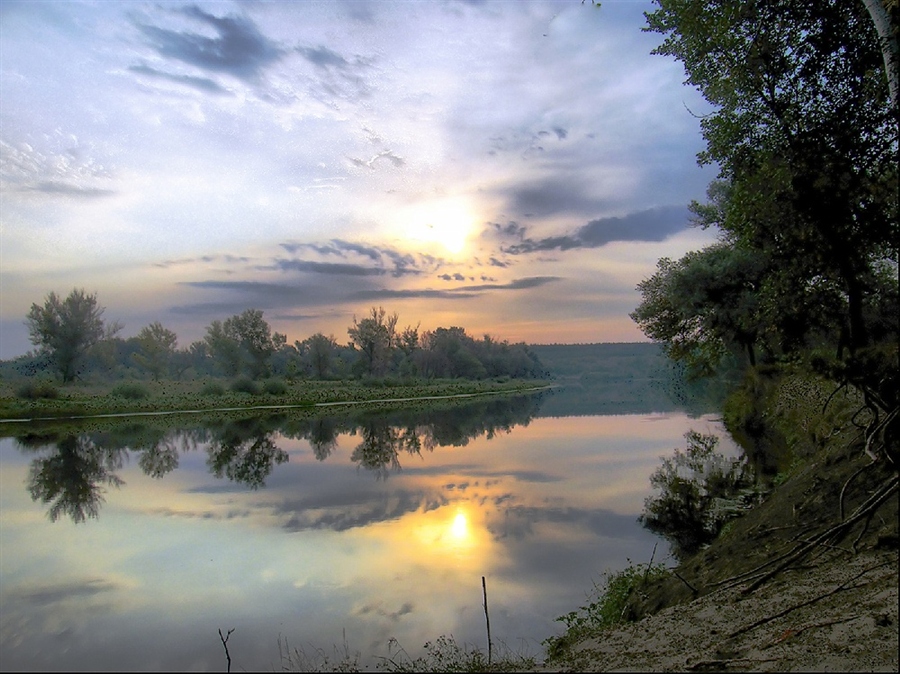 Фото жизнь