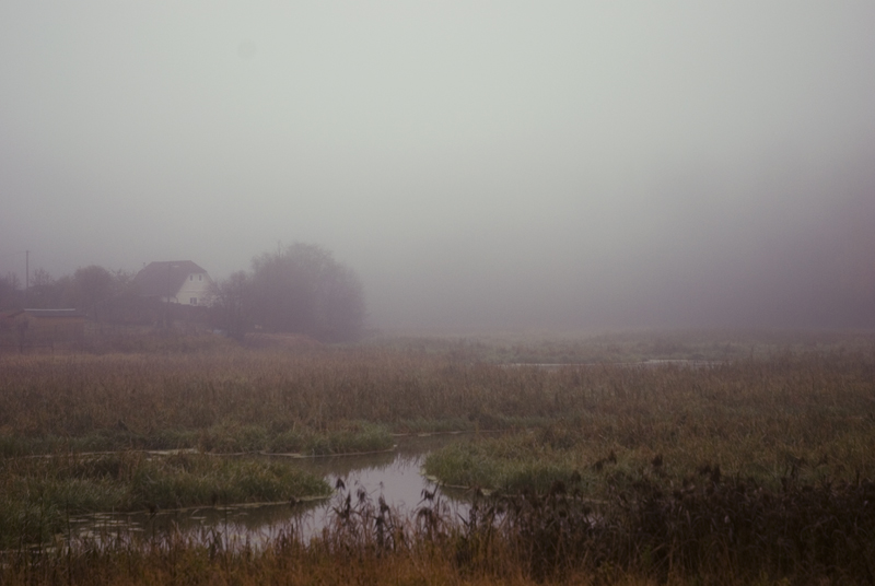 Фото жизнь (light) - AlexandrGlazkov - f o g - Shipped in a fog