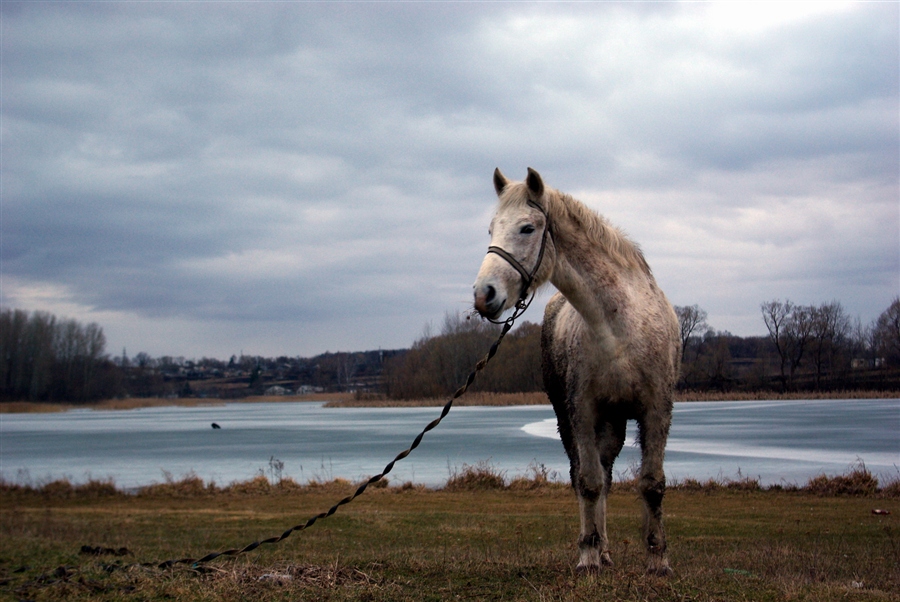 Фото жизнь