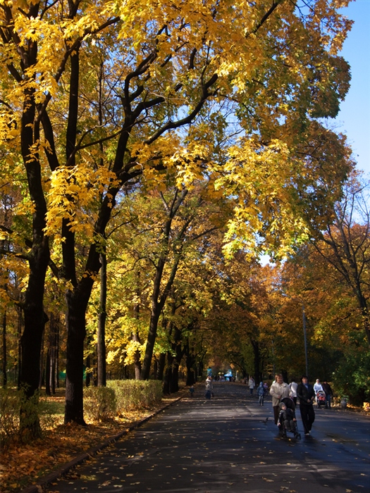 Фото жизнь