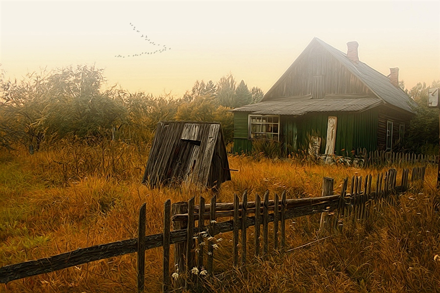 Фото жизнь