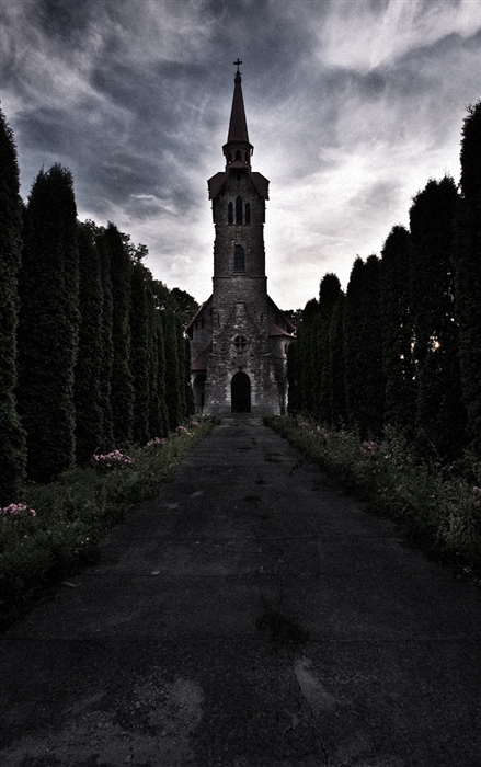 Фото жизнь