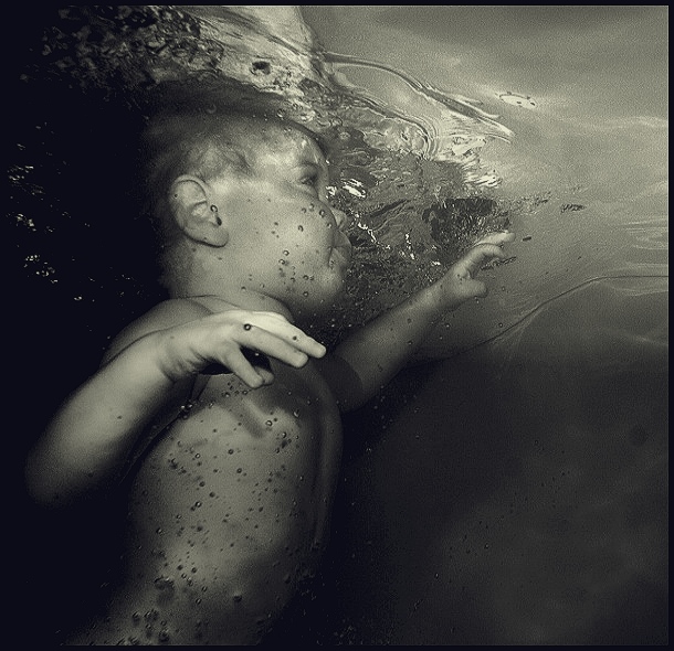 Фото жизнь (light) - Eland - Underwater - на грани сред
