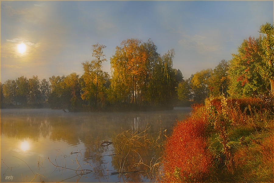 Фото жизнь