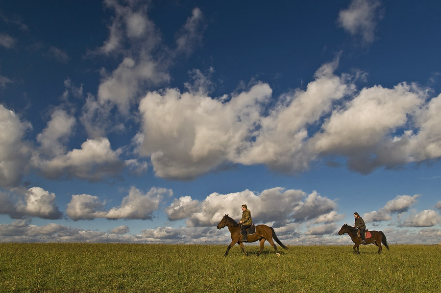 Фото жизнь - Pastor - ПЕЙЗАЖИ - Мчатся кони да по полю
