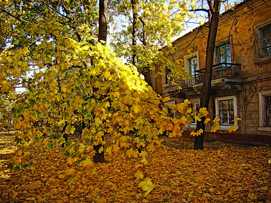 Фото жизнь