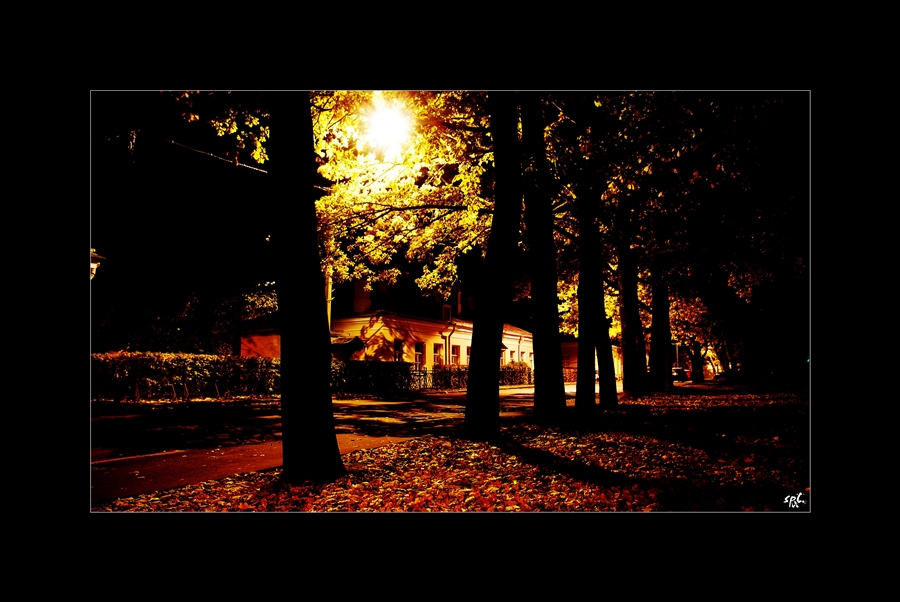 Фото жизнь (light) - Dif_18 - корневой каталог - Ночная осень в парке