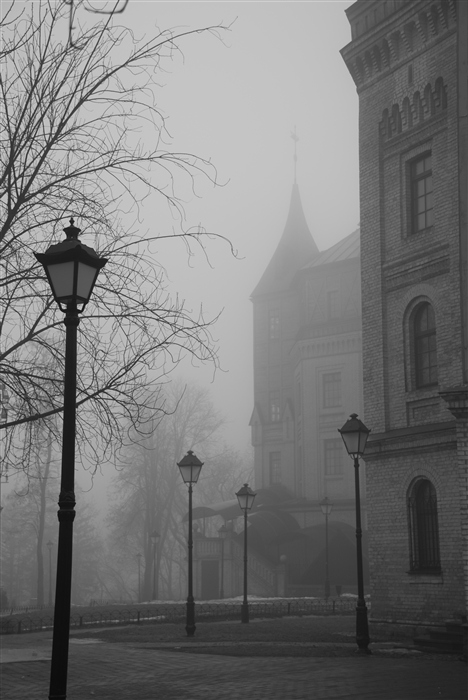 Фото жизнь