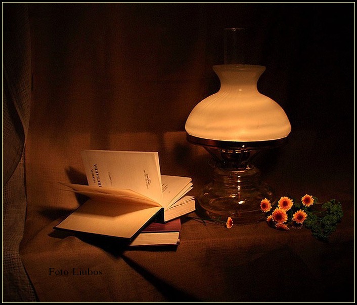 Фото жизнь (light) - Любовь Селиванова (Liubos) - Натюрморты - ..под светом ночника..
