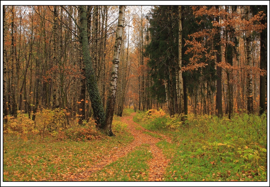 Фото жизнь