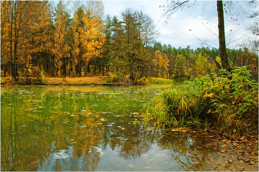 Фото жизнь - Светлана Морсина - Осенние пейзажи - Гляжу в озера синие (2)