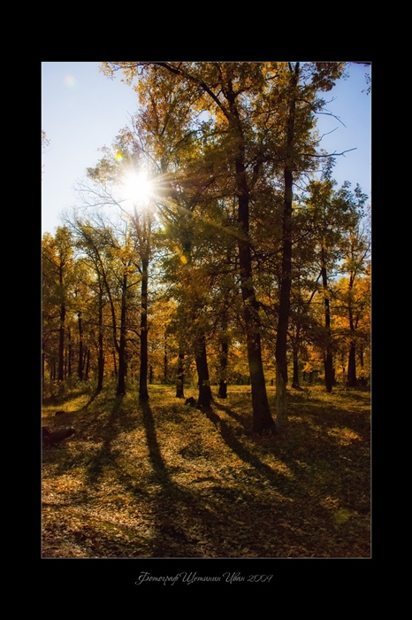 Фото жизнь