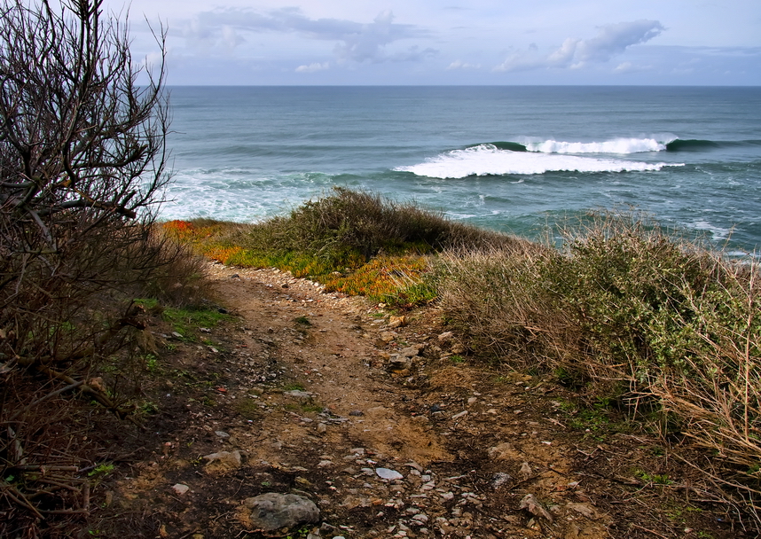 Фото жизнь (light) - FLOP - корневой каталог - По дороге на Юг.