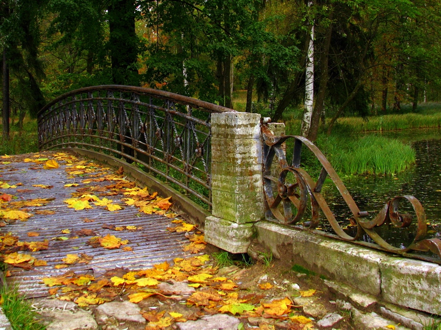 Фото жизнь