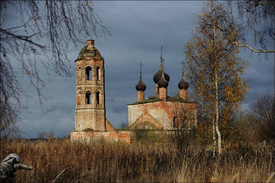 Фото жизнь