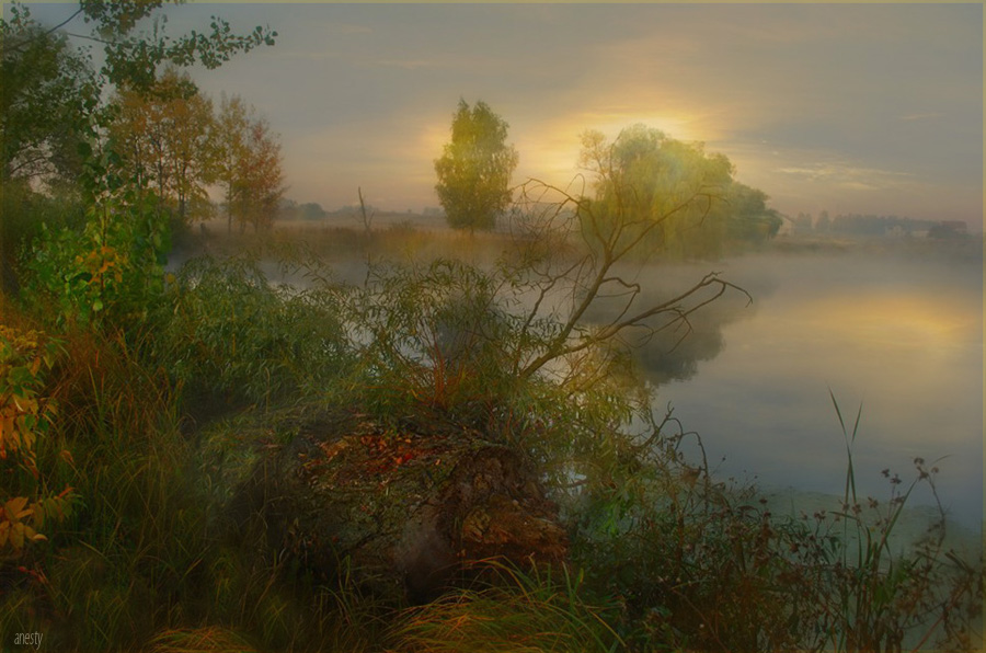 Фото жизнь (light) - AnnaIvinskaya - Туманы и утра, светА и солнца... - На грани вопреки всему ...  