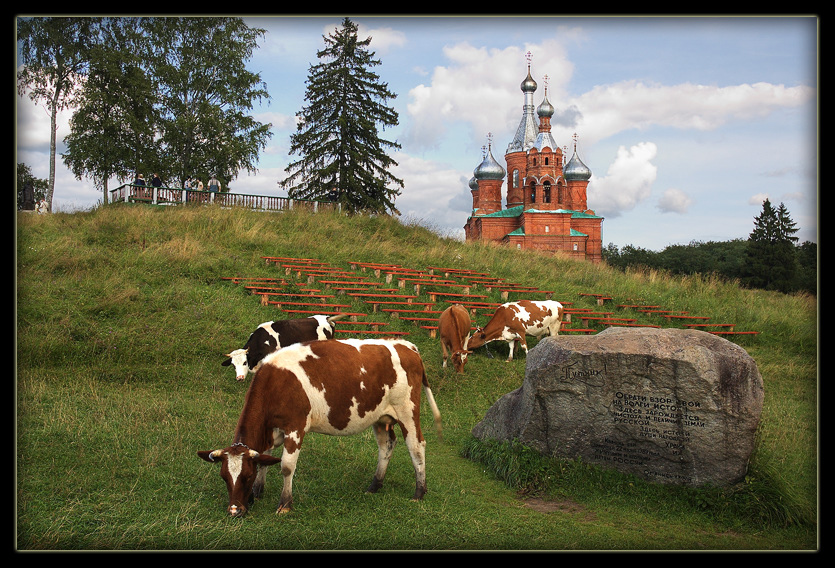 Фото жизнь (light) - Евгений Сафронов (Pinгвин) - корневой каталог - Оглянись уходя...