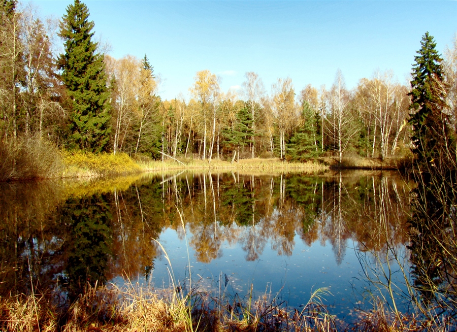 Фото жизнь