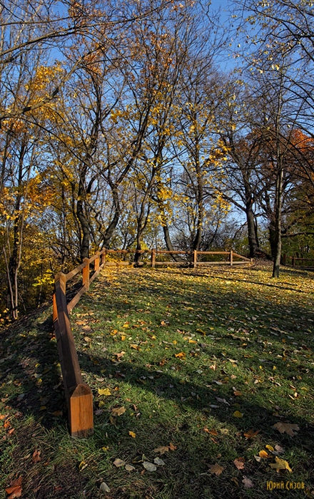 Фото жизнь