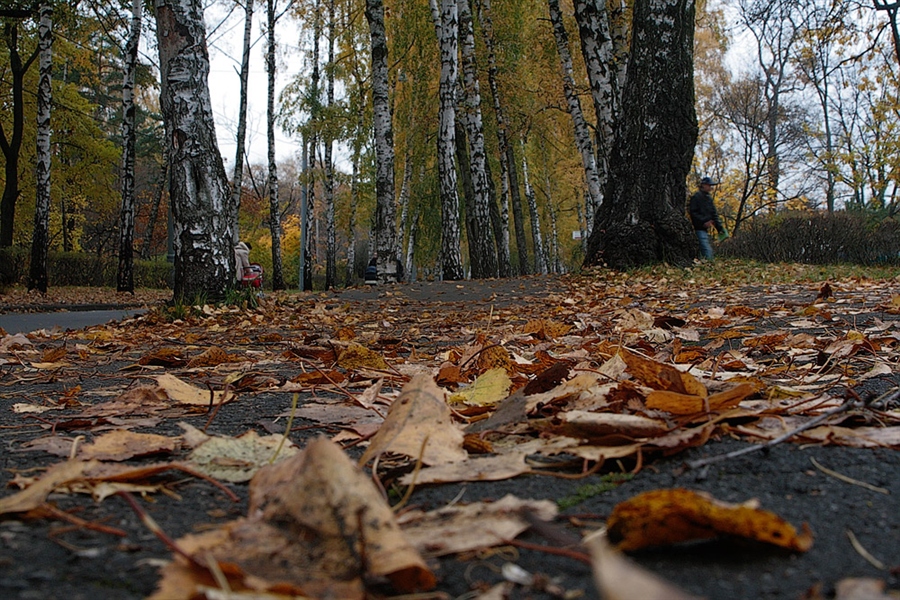 Фото жизнь