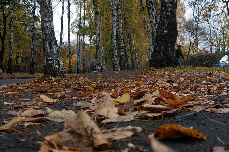 Фото жизнь