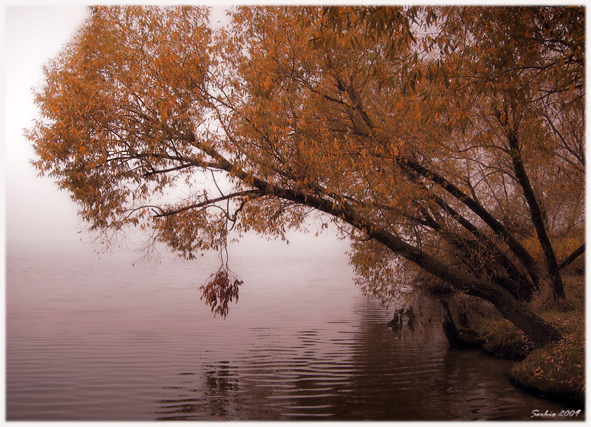 Фото жизнь (light) - serg... - Природа, пейзажи - Протянула руку Осень...
