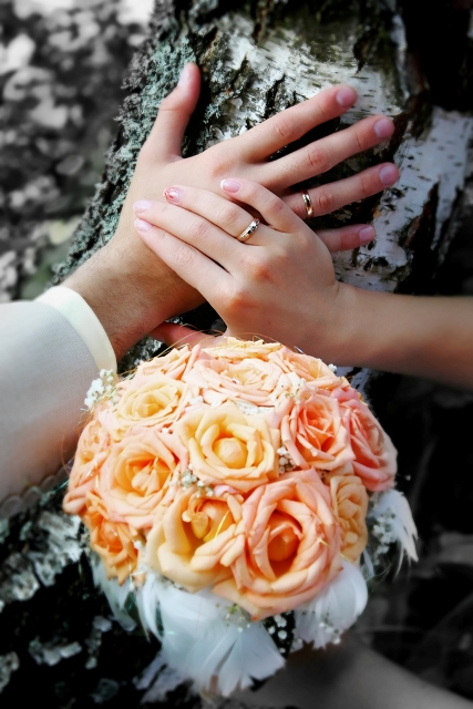 Фото жизнь - Сергей Заяц - корневой каталог - свадебные цветы