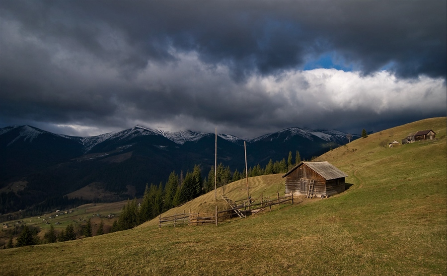 Фото жизнь