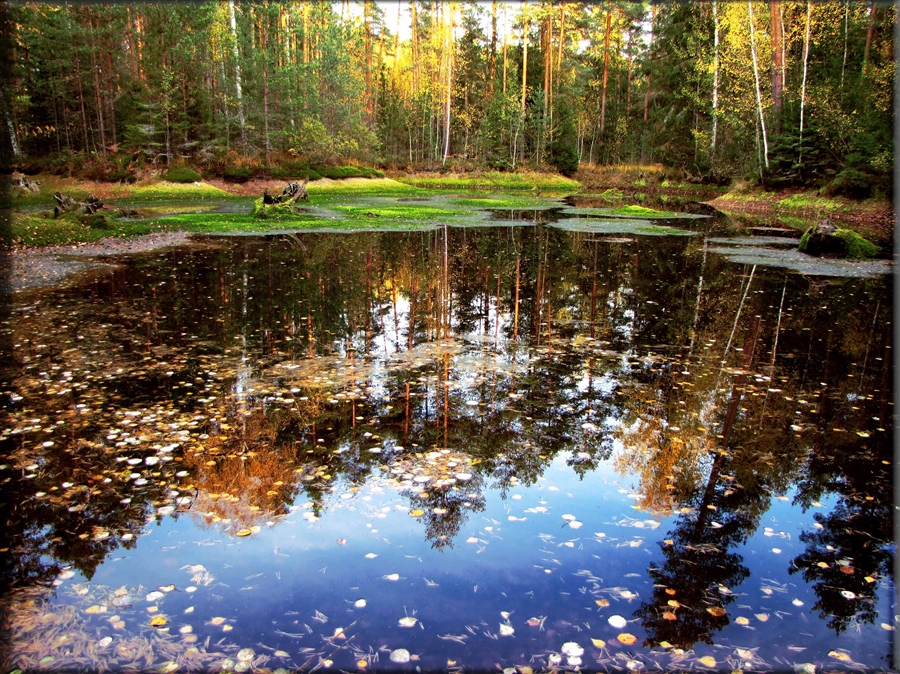 Фото жизнь