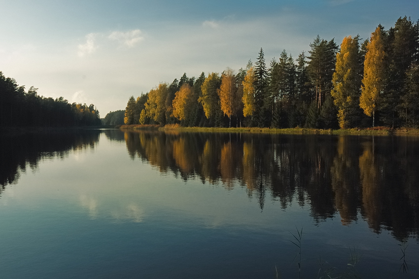 Фото жизнь (light) - Droperidol - корневой каталог - Солнечно