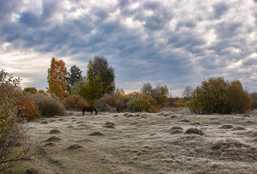 Фото жизнь