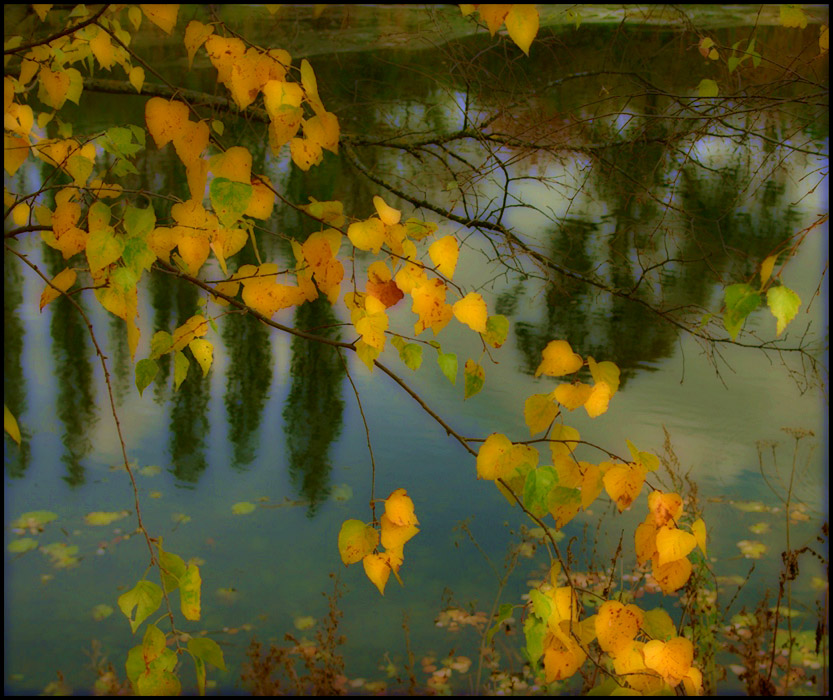 Фото жизнь - Janna Daderko - корневой каталог - Осенняя акварель