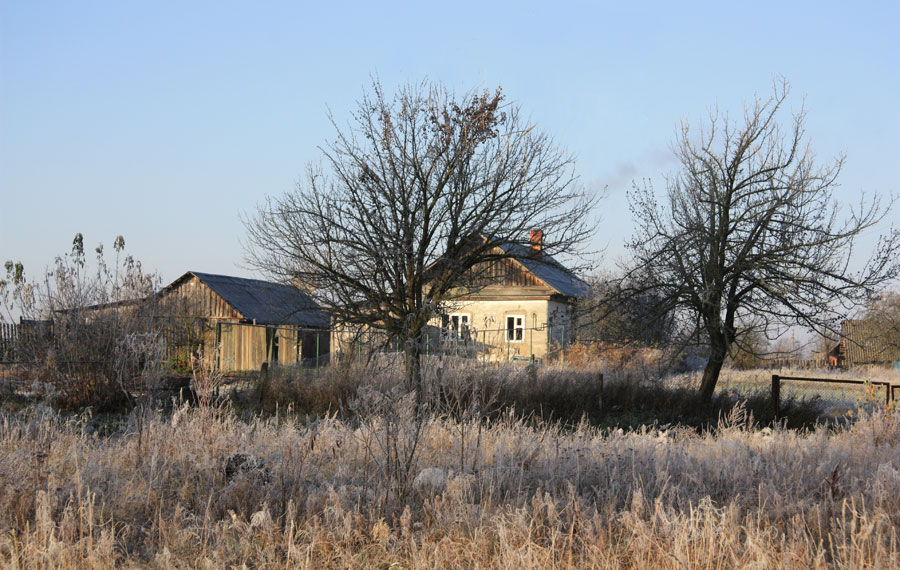 Фото жизнь