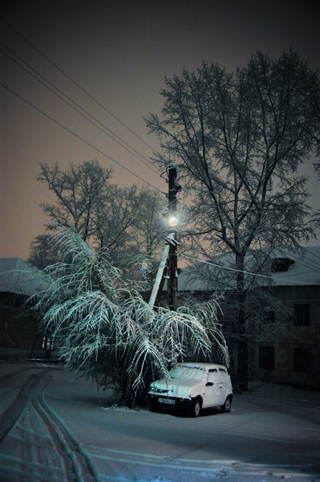 Фото жизнь