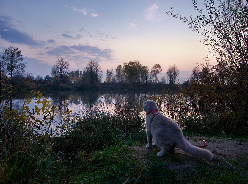 Фото жизнь
