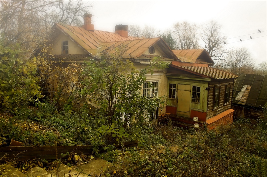 Фото жизнь