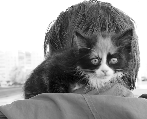 Фото жизнь (light) - Hellga_Zuikova - корневой каталог - Как страшно жить...