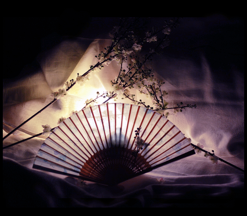 Фото жизнь (light) - Махотина Дарья - корневой каталог - **