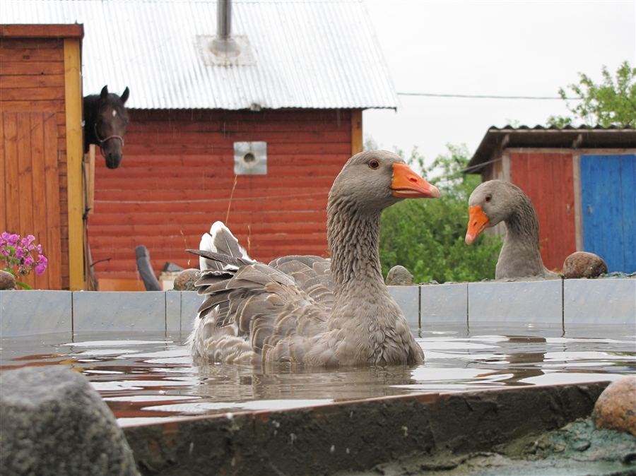 Фото жизнь