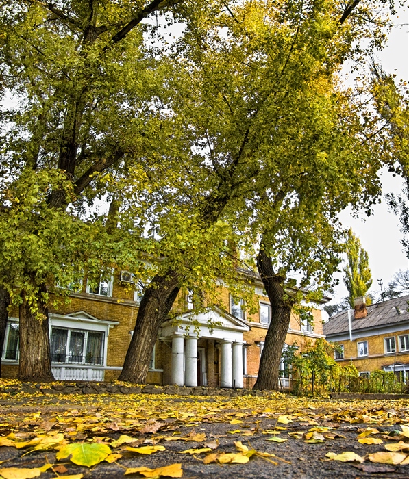 Фото жизнь