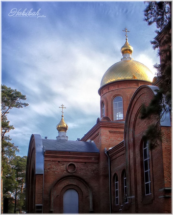 Фото жизнь