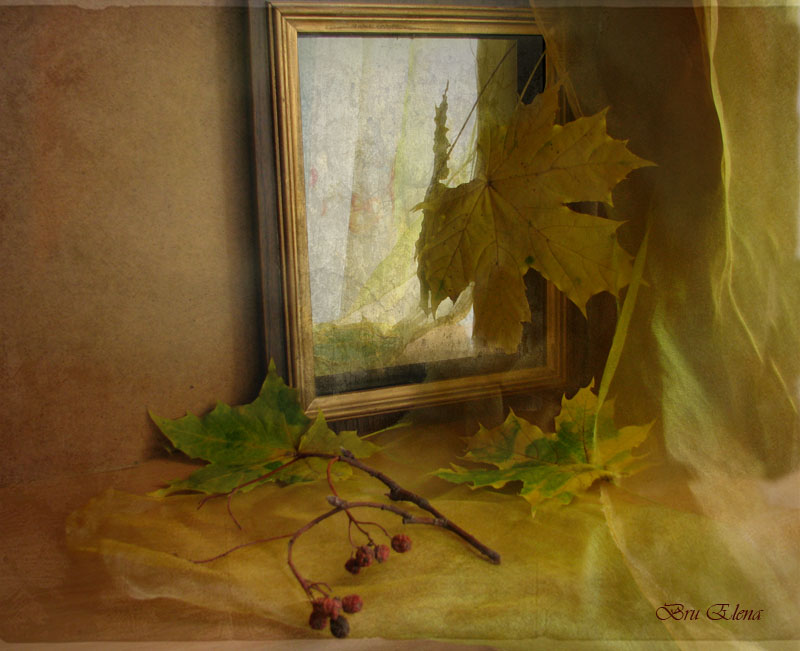 Фото жизнь (light) - Brule - корневой каталог - Как осень в зеркало любуясь.....