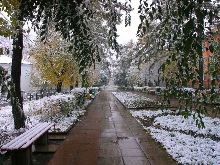 Фото жизнь