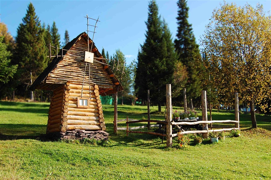 Фото жизнь