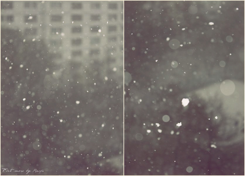 Фото жизнь (light) - NR - пейзажы. - первый снег.